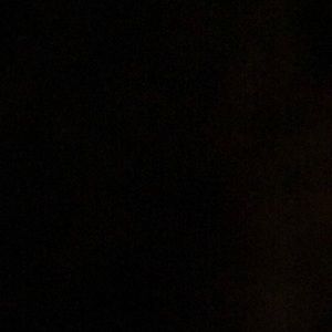 Meet your Posher, Mo